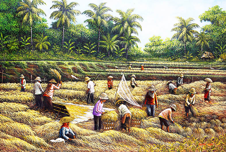 Panen Padi (Harvest)