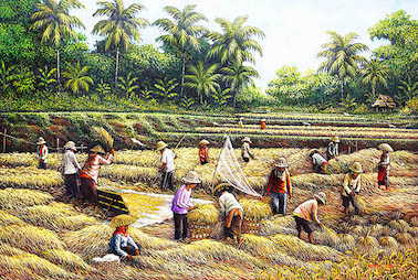 Panen Padi (Harvest)