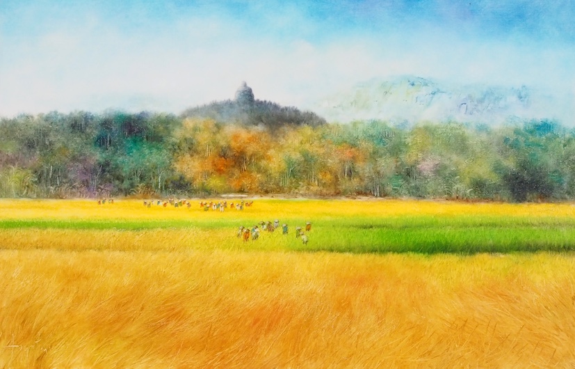 Harvest And Borobudur