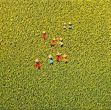 Harvesting