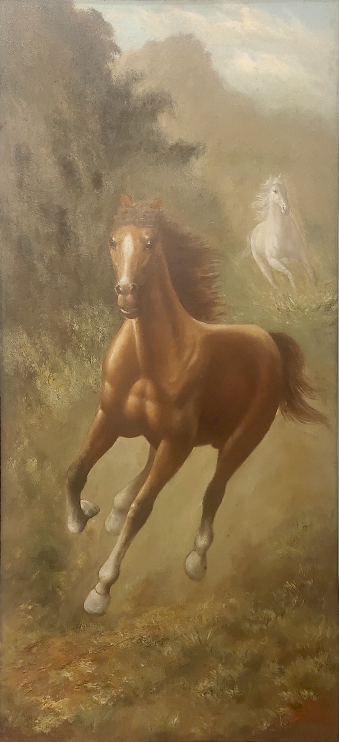 Horses