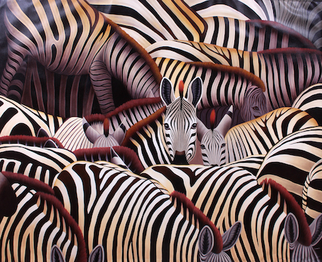 Zebra Colony
