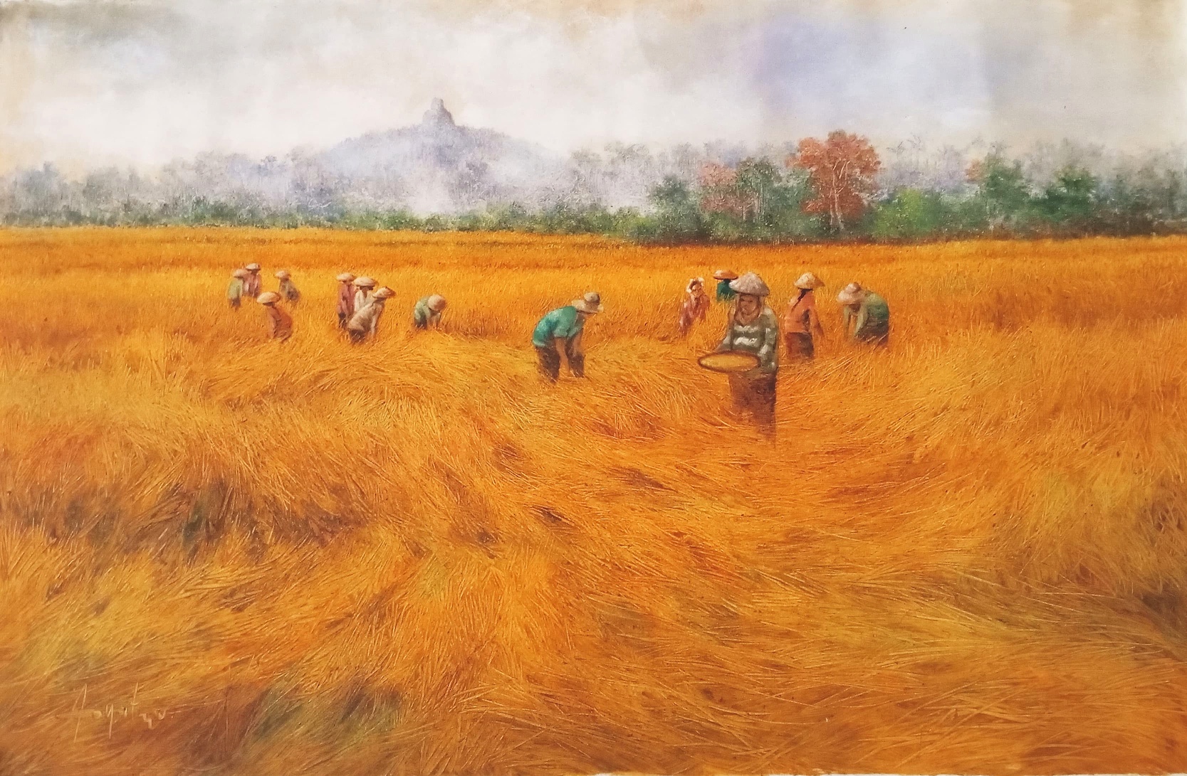 Harvest And Borobudur
