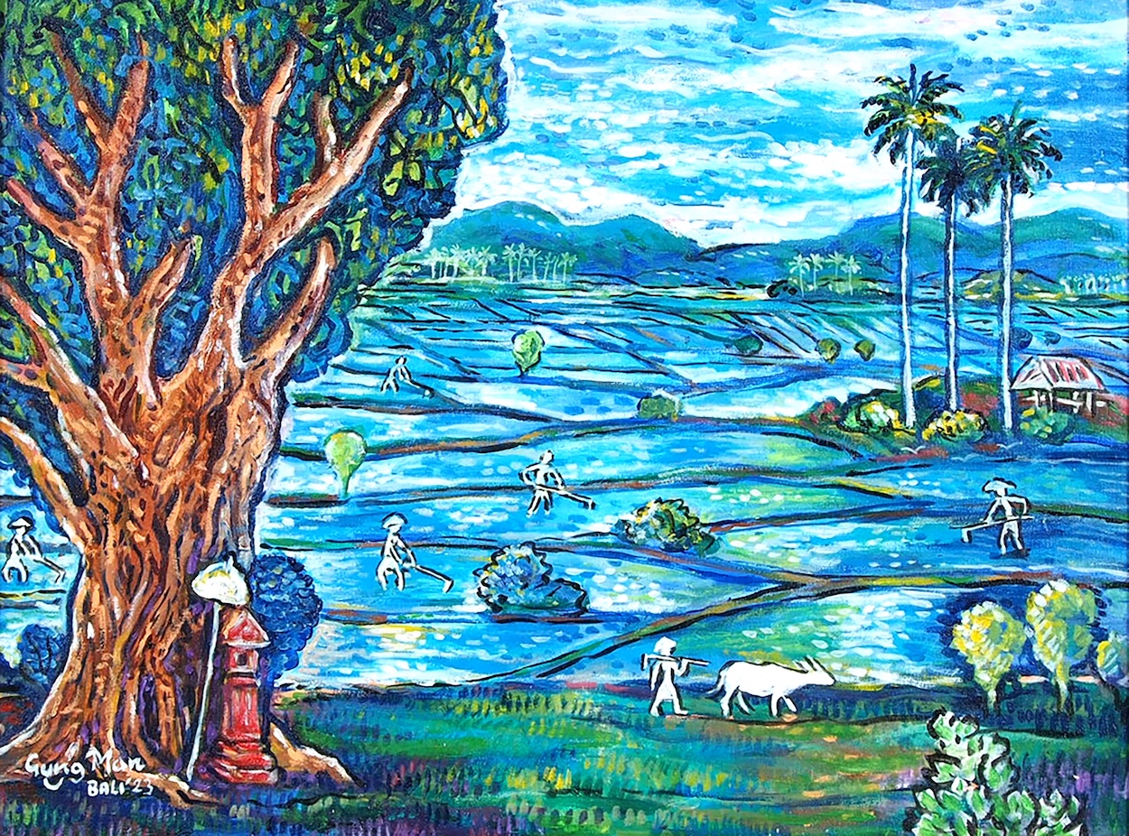 View of Rice Fields