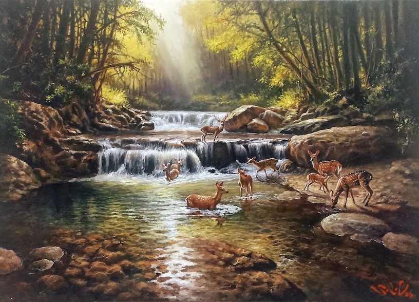 Harmony of Nature