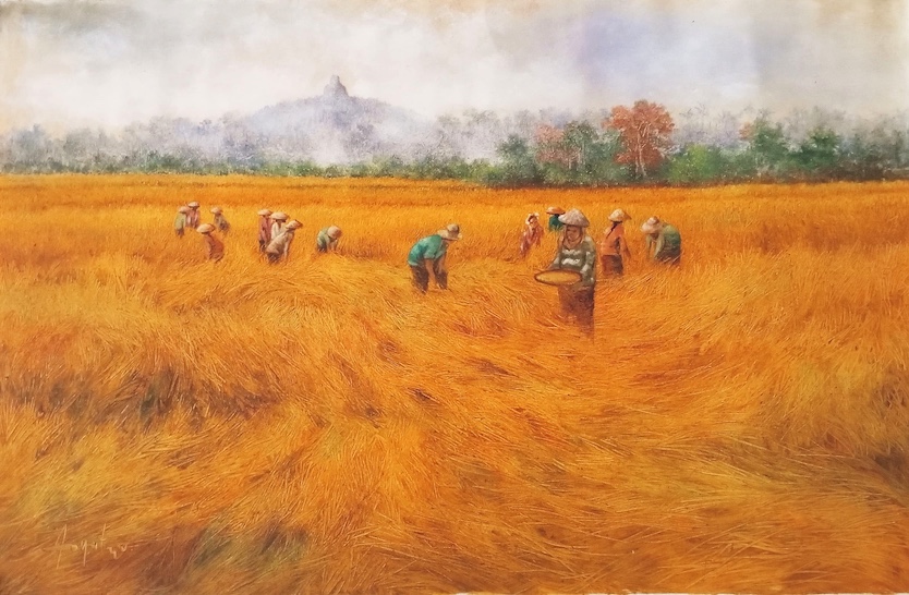 Harvest And Borobudur