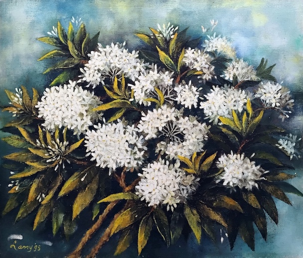 White Ashoka